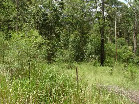 Third view of Homely land listing, 211 LONG GULLY ROAD, Drake NSW 2469