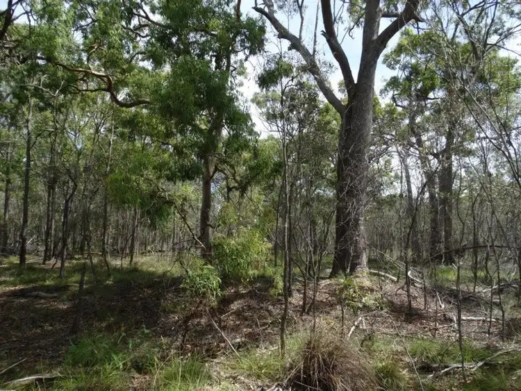Fourth view of Homely rural property listing, Lot 23 Dale Drive, Rules Beach QLD 4674