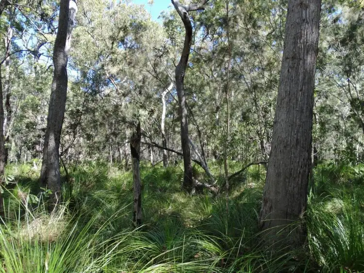 Seventh view of Homely rural property listing, Lot 4 Deepwater Road, Deepwater QLD 4674