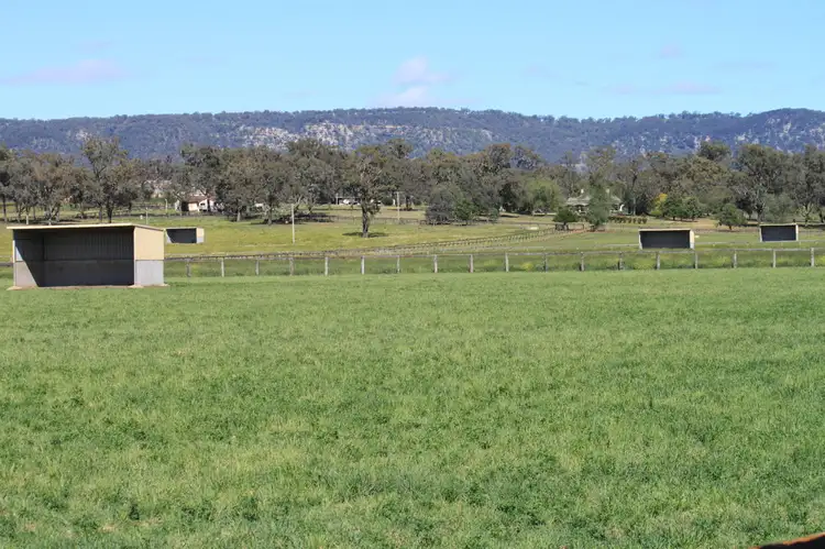 Seventh view of Homely rural property listing, 1 Dalmore Stud, Scone NSW 2337