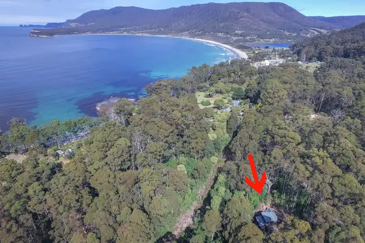 311 Pirates Bay Drive, Eaglehawk Neck TAS 7179