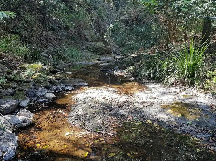 Main view of Homely house listing, 431 Kureelpa Falls Road, Kureelpa QLD 4560