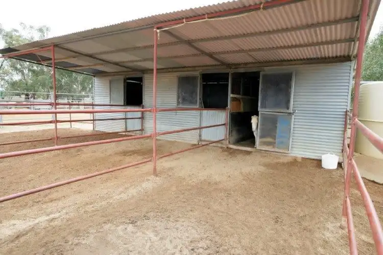 Sixth view of Homely house listing, 1540 Canola Way, Wagga Wagga NSW 2650