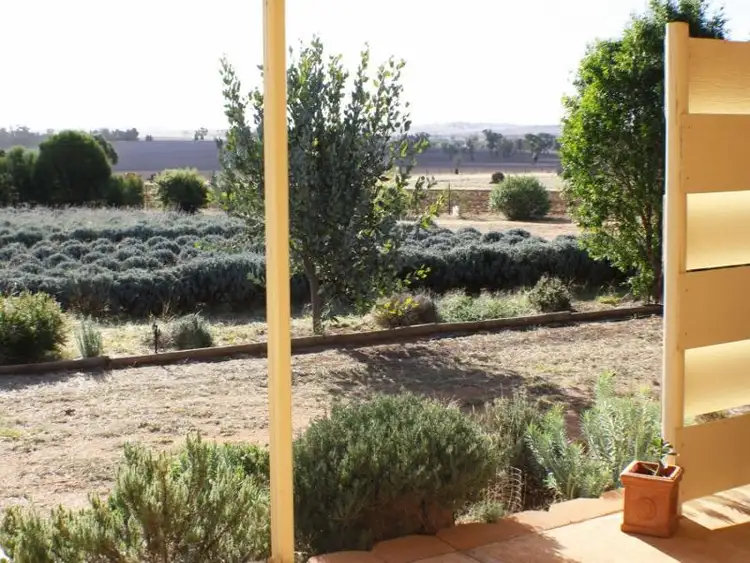 Seventh view of Homely house listing, 126 Murrulebale Rd, Junee NSW 2663