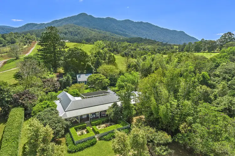 Third view of Homely rural property listing, 740 Summervilles Road, Bellingen NSW 2454