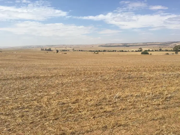 Fourth view of Homely rural property listing, Lt 22 & 23 Old Princes Highway, Callington SA 5254