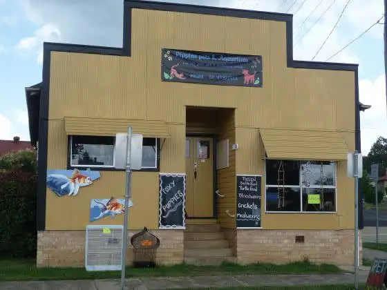 Main view of Homely house listing, 123 Grey Street, Glen Innes NSW 2370