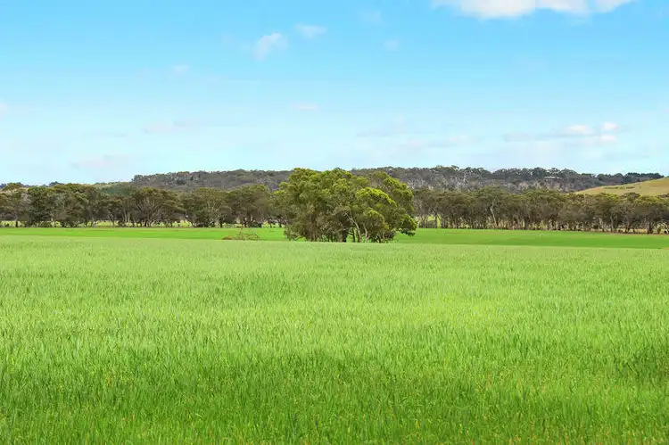 Fourth view of Homely rural property listing, 75-145 De Motts Road, Anakie VIC 3213