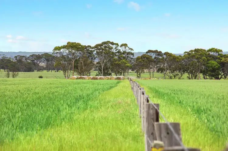 Fifth view of Homely rural property listing, 75-145 De Motts Road, Anakie VIC 3213