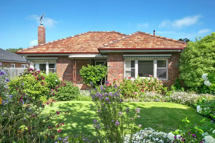 Main view of Homely house listing, 117 Minerva Road, Herne Hill VIC 3218