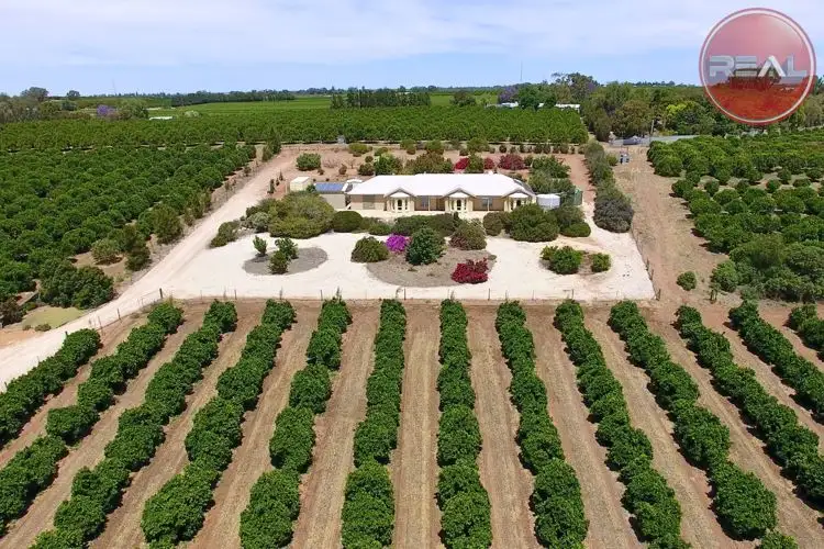 359 Ramco Road, Waikerie SA 5330