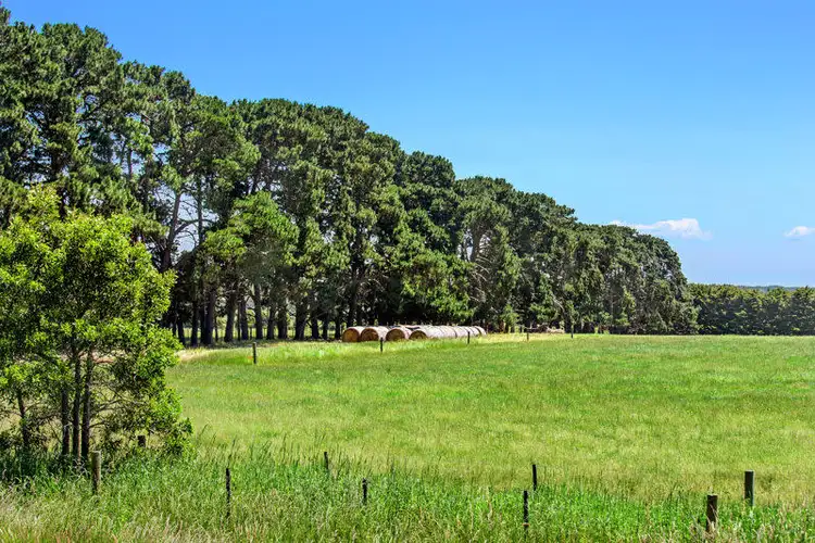 Third view of Homely rural property listing, 1750 Cape Otway Road, Wurdiboluc VIC 3241