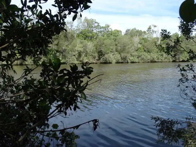 Second view of Homely rural property listing, 858 Taunton Road, Taunton QLD 4674