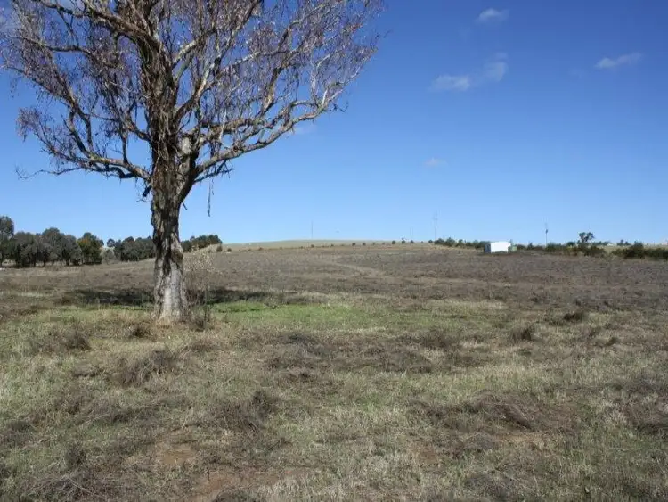 Fifth view of Homely land listing, 100 Waterworks Road, Junee NSW 2663