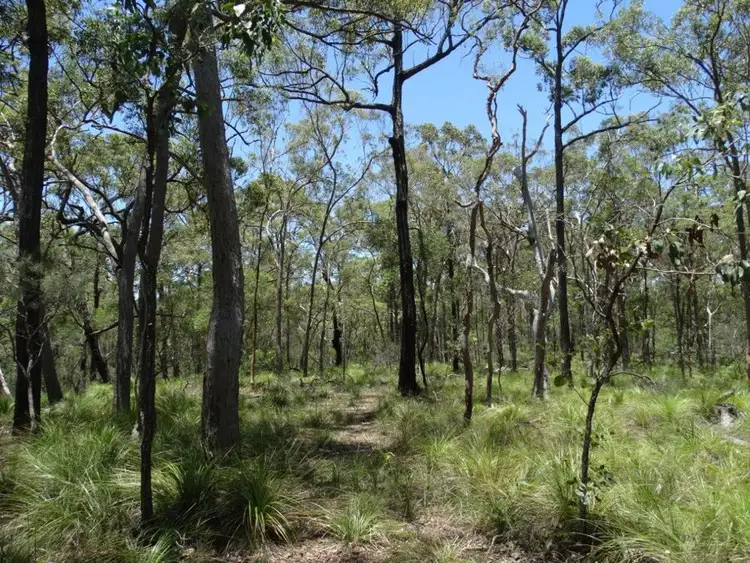 Fourth view of Homely rural property listing, 1085 Coast Road, Baffle Creek QLD 4674