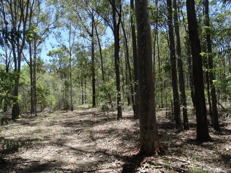 Fifth view of Homely rural property listing, 1085 Coast Road, Baffle Creek QLD 4674