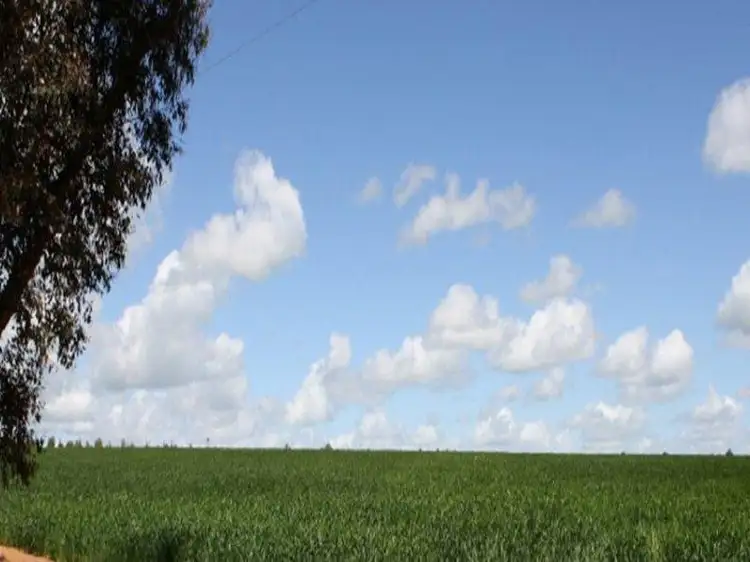Lot 2 Aerodrome Lane, Junee NSW 2663