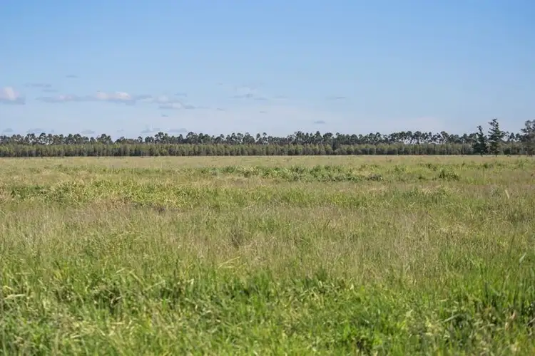 Fifth view of Homely rural property listing, 727 Queenscliff Road, St Leonards VIC 3223