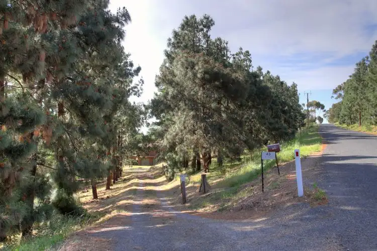 Second view of Homely house listing, 43 Walters Road, One Tree Hill SA 5114