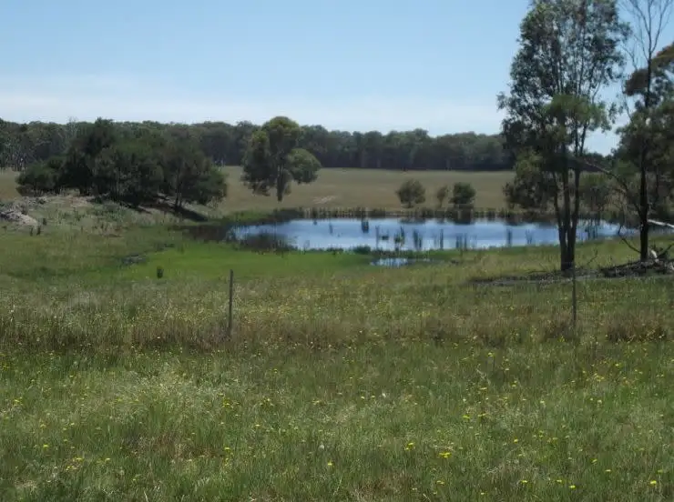 Fourth view of Homely house listing, 263 Rivertree Road, Liston NSW 2372