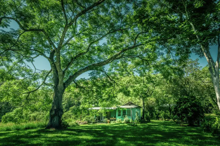 2129 Darkwood Road, Bellingen NSW 2454