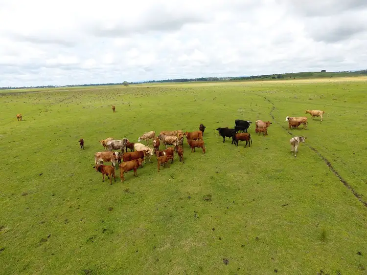 Fifth view of Homely rural property listing, Rodeo Drive, Casino NSW 2470