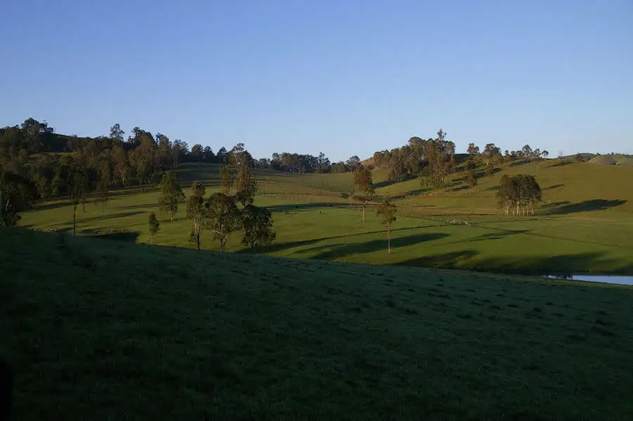 Main view of Homely rural property listing, 494 Bunyah Rd, Firefly NSW 2429