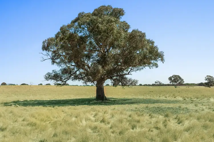 Fifth view of Homely land listing, 44 Dicksons Road, Winchelsea VIC 3241
