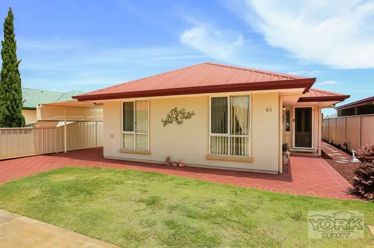 Main view of Homely house listing, 61/303 Spring Street (Kingfisher Gardens Lifestyle Village), Kearneys Spring QLD 4350
