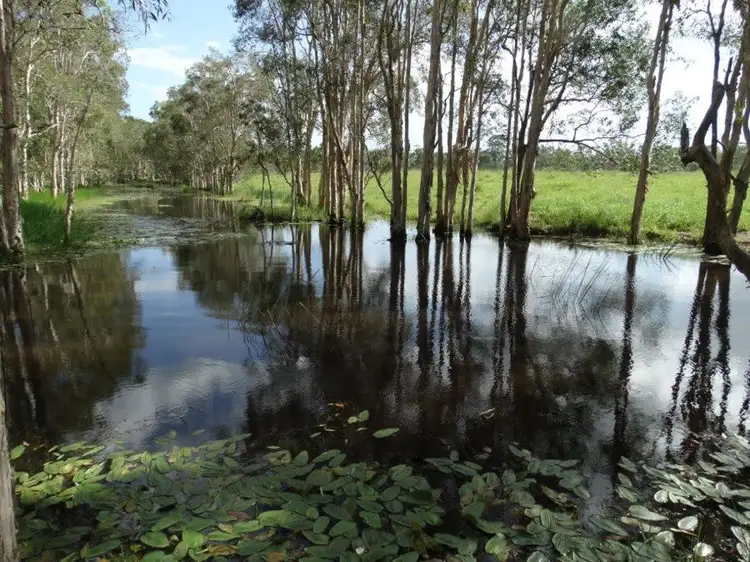 Second view of Homely rural property listing, 143 South Littabella Road, Yandaran QLD 4673