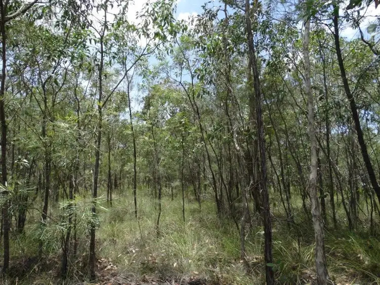Seventh view of Homely rural property listing, Lot 55 Pacific Drive, Deepwater QLD 4674