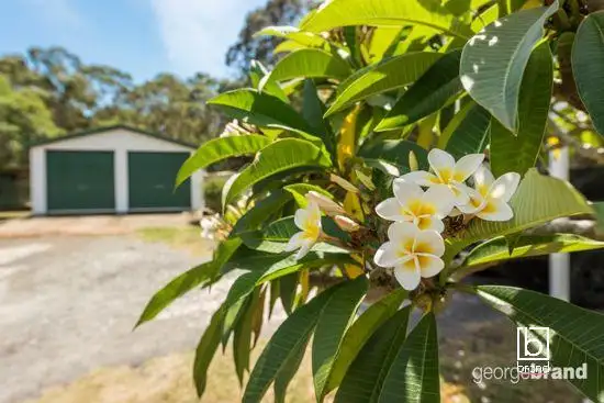 Fifth view of Homely house listing, 115 Johns Road, Wadalba NSW 2259