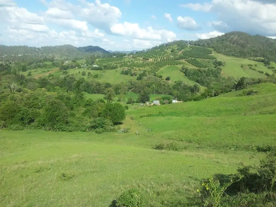 Main view of Homely rural property listing, 400 Mary's Creek Road, Marys Creek QLD 4570