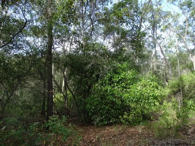 Second view of Homely rural property listing, Lot 68 Cross Road, Euleilah QLD 4674