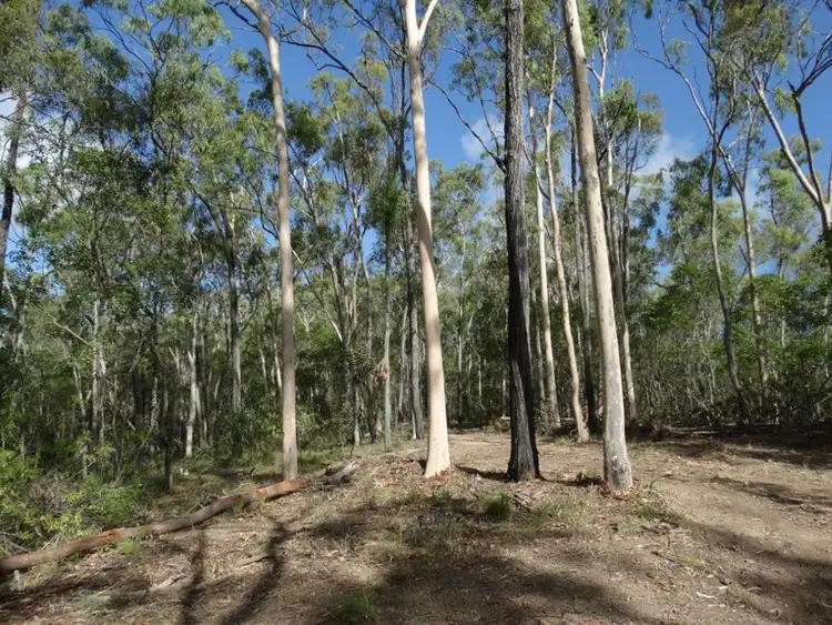 Third view of Homely rural property listing, Lot 68 Cross Road, Euleilah QLD 4674