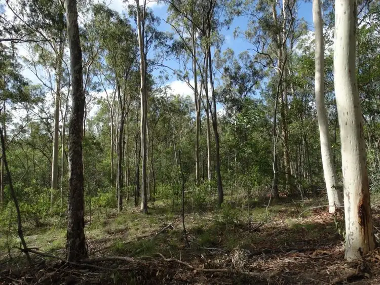 Fourth view of Homely rural property listing, Lot 68 Cross Road, Euleilah QLD 4674