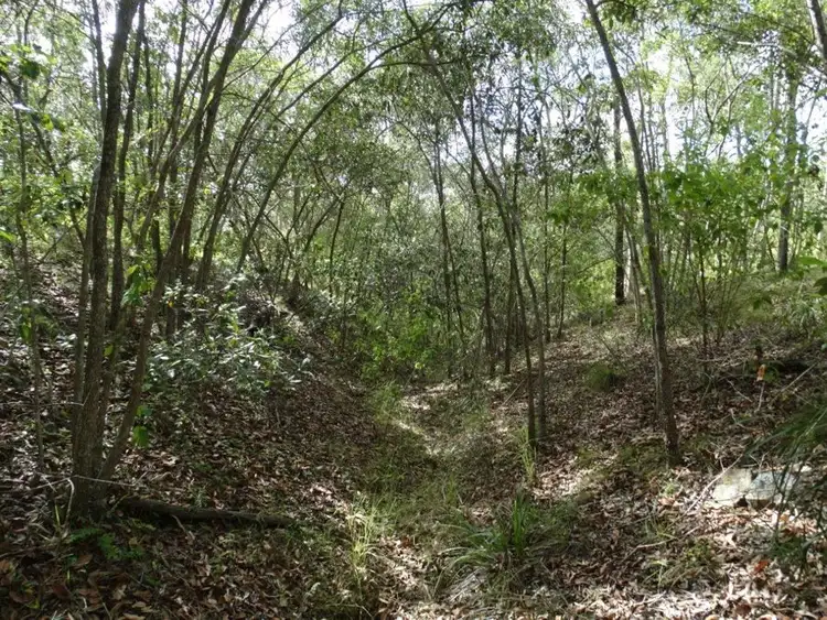 Fifth view of Homely rural property listing, Lot 68 Cross Road, Euleilah QLD 4674