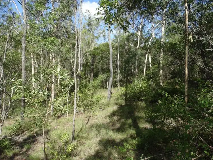 Sixth view of Homely rural property listing, Lot 68 Cross Road, Euleilah QLD 4674