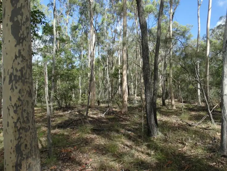 Seventh view of Homely rural property listing, Lot 68 Cross Road, Euleilah QLD 4674
