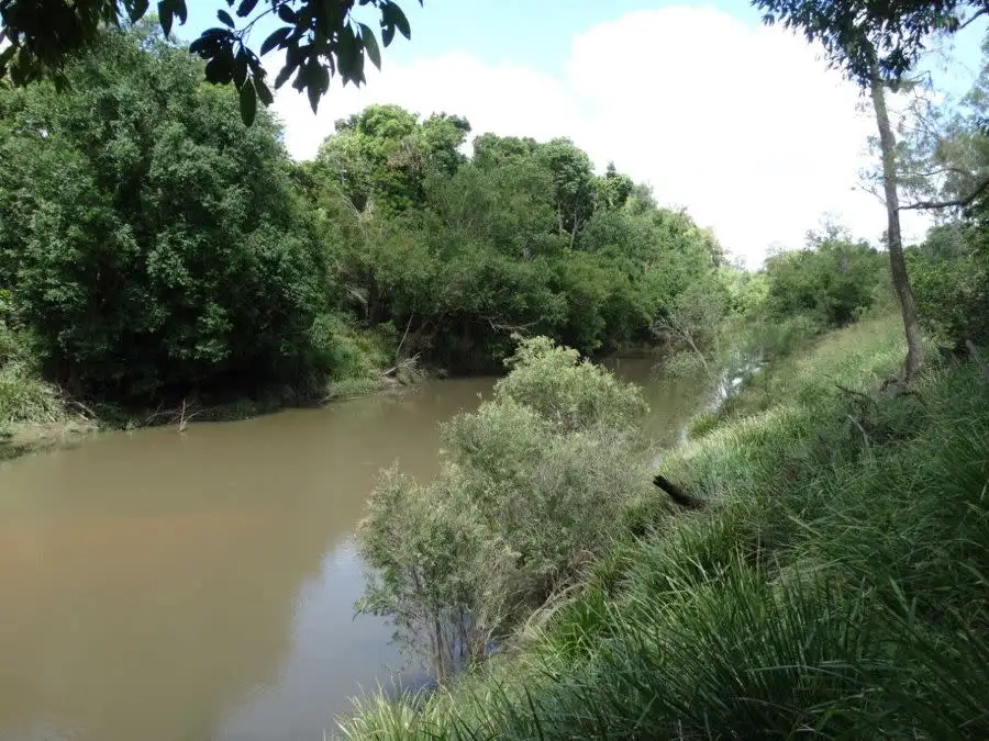 Main view of Homely rural property listing, Lot 4 Lowmead Road, Lowmead QLD 4676