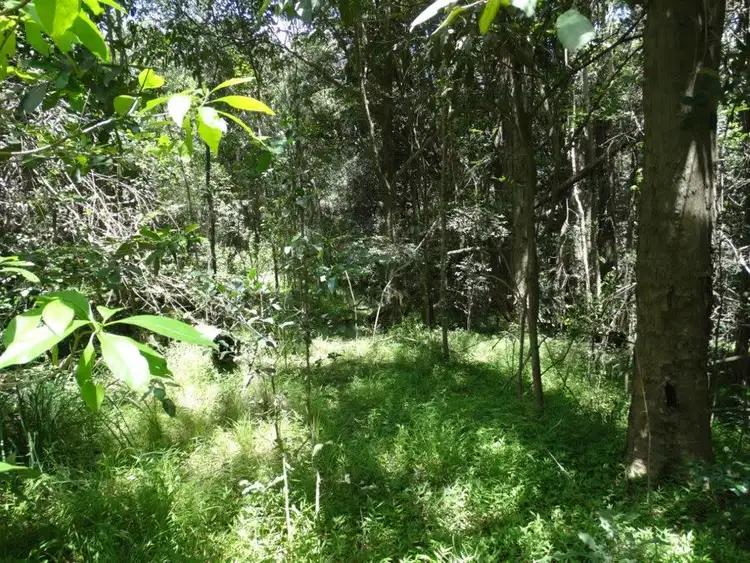 Third view of Homely rural property listing, Lot 4 Lowmead Road, Lowmead QLD 4676