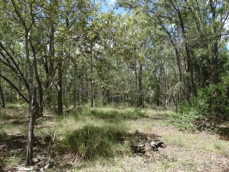 Fourth view of Homely rural property listing, Lot 4 Lowmead Road, Lowmead QLD 4676