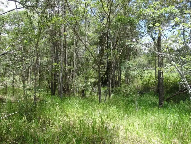 Fifth view of Homely rural property listing, Lot 4 Lowmead Road, Lowmead QLD 4676