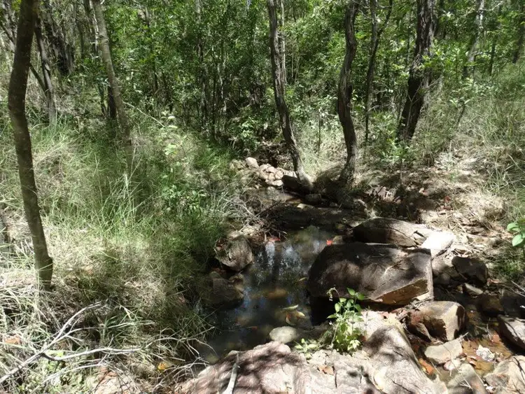 Sixth view of Homely rural property listing, Lot 4 Lowmead Road, Lowmead QLD 4676