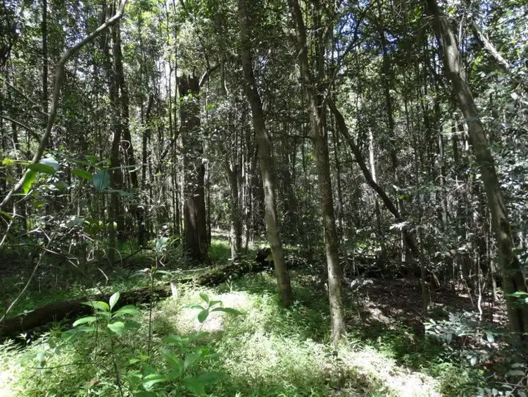 Seventh view of Homely rural property listing, Lot 4 Lowmead Road, Lowmead QLD 4676