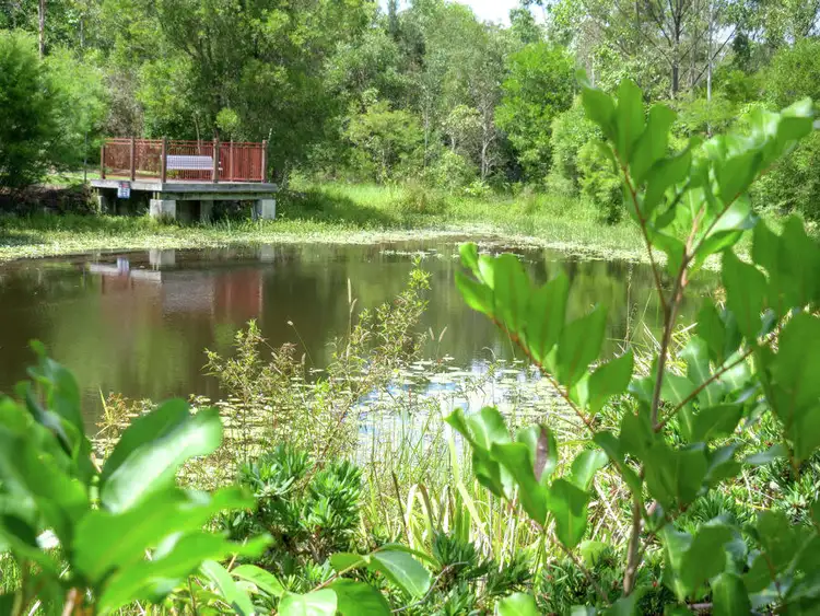 Fourth view of Homely house listing, 12 Lapwing Circuit, Beerwah QLD 4519