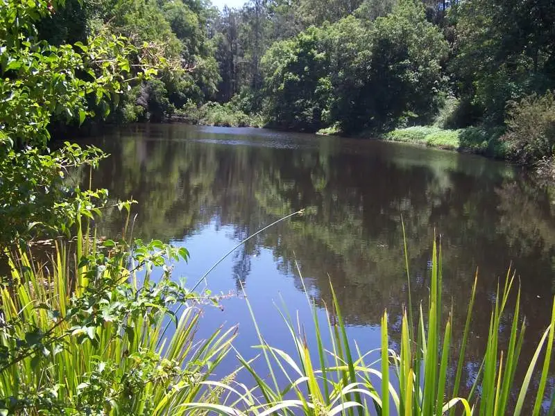 Main view of Homely rural property listing, 80 Dargavilles Road, Nabiac NSW 2312