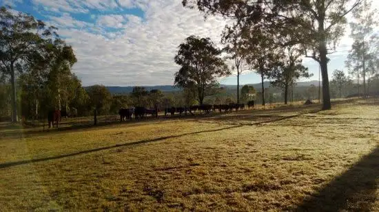 Lot 3 Thomas Road, Murphys Creek QLD 4352