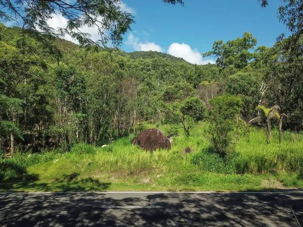 Main view of Homely rural property listing, Lot 73 Pine Creek Road, East Trinity QLD 4871