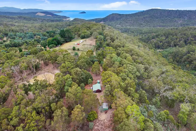 Fifth view of Homely house listing, 678 Dam Road, Nubeena TAS 7184
